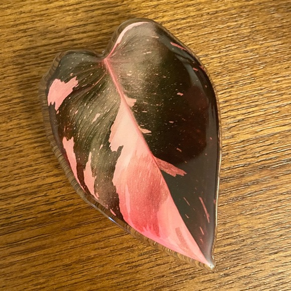 Pink Princess philodendron Plant phone grip PPP - Picture 2 of 4